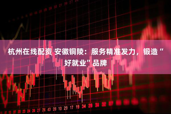 杭州在线配资 安徽铜陵：服务精准发力，锻造“好就业”品牌