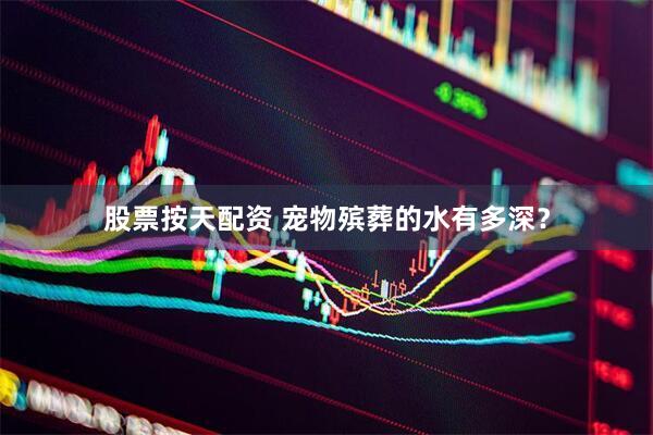 股票按天配资 宠物殡葬的水有多深？