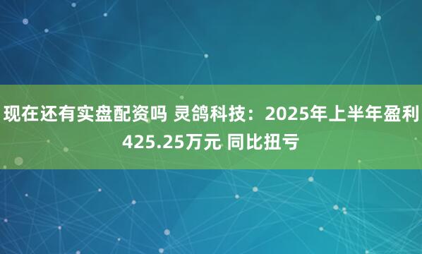 现在还有实盘配资吗 灵鸽科技：2025年上半年盈利425.25万元 同比扭亏