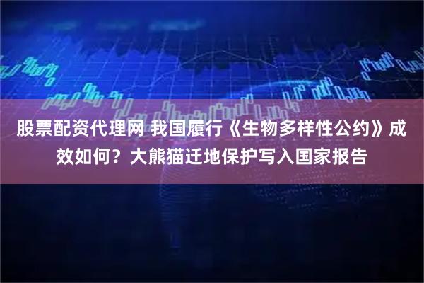 股票配资代理网 我国履行《生物多样性公约》成效如何？大熊猫迁地保护写入国家报告